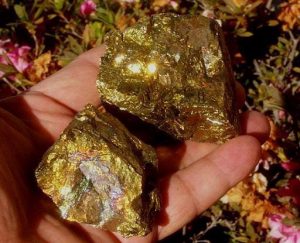 معروفیت پسماندهای الکترونیکی به معادن طلا