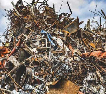 The most profitable waste